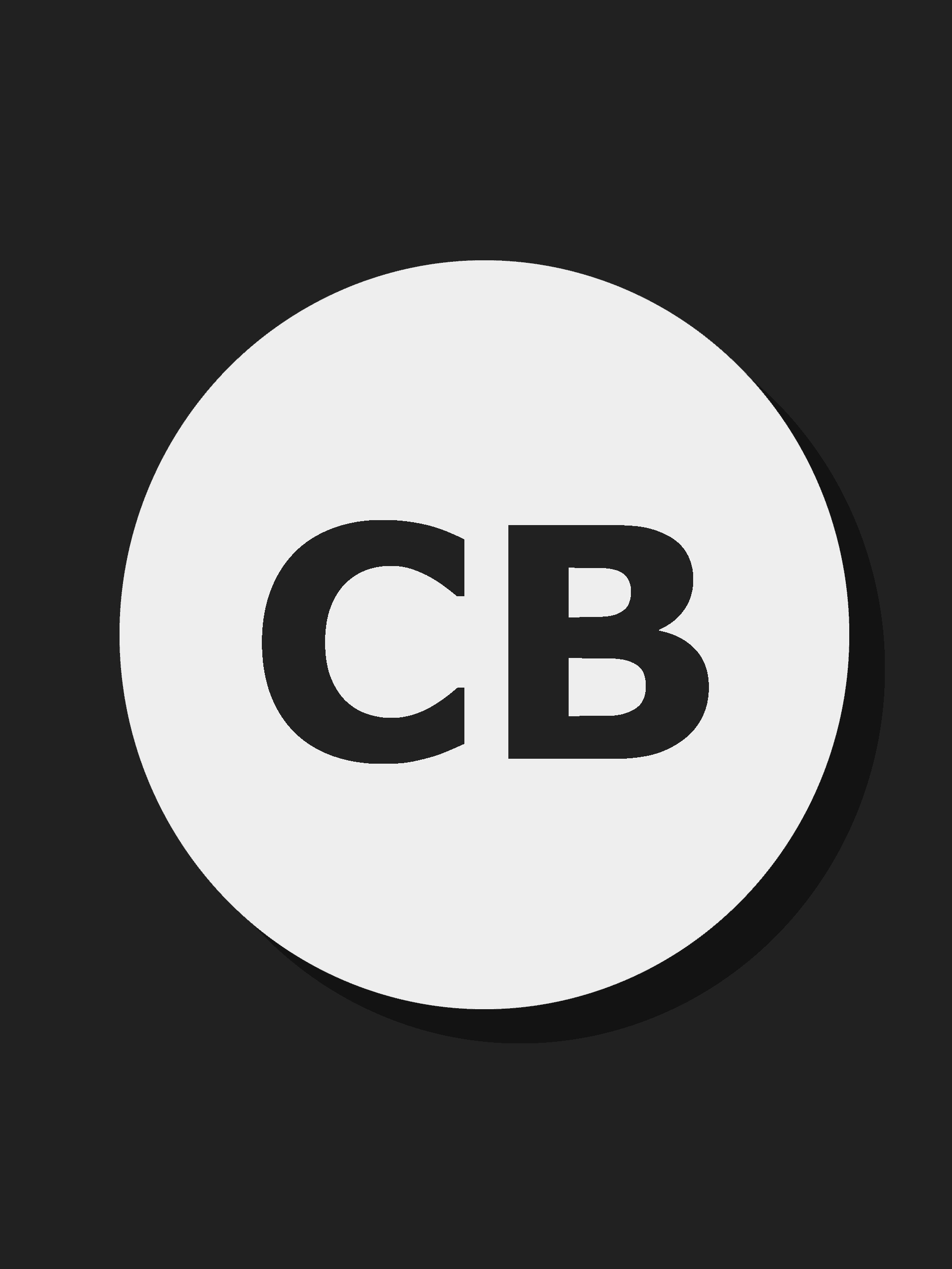 Chris Bybee headshot